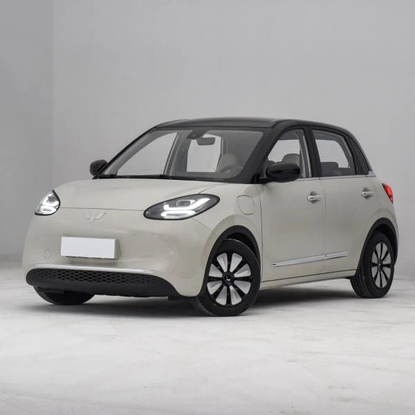 Μίνι ηλεκτρικό εύρος